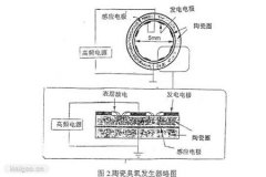 影响臭氧发生的主要因素有哪些？