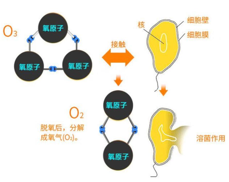 臭氧熏蒸消毒灭菌法